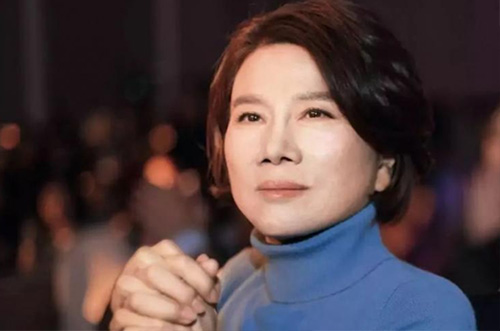 董老板500億財(cái)力準(zhǔn)備，助力芯片行業(yè)發(fā)展